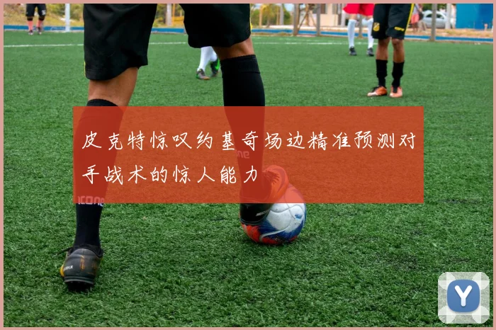 皮克特惊叹约基奇场边精准预测对手战术的惊人能力